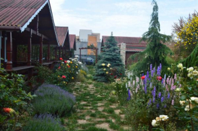 Cabane de lemn